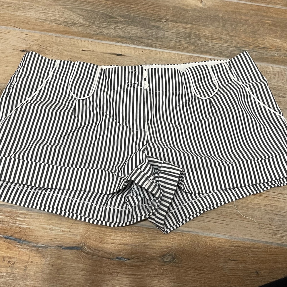Women’s Dress Shorts